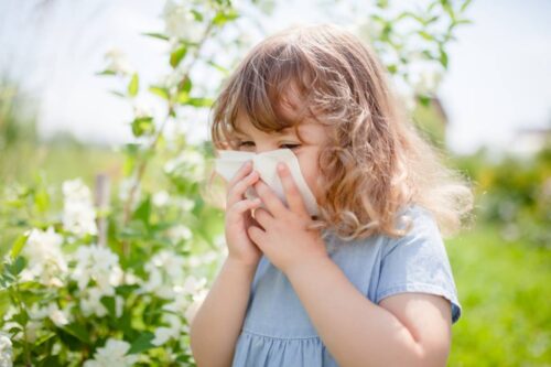 spring allergies and asthma